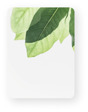 Image One